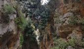 Trail Walking Unknown - Gorges d'Imbros aller-retour (Rother 31) - Photo 6