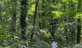Trail Walking Ittre - #230717 - Virginal-Samme, Ardennes et Grand Bois, dont 2,5 km du GRP 127 - Photo 3