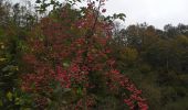 Tocht Stappen Montjoie-le-Château - montjoie le château  - Photo 3