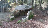 Tocht Stappen Saint-Philibert - PR_56_St-Philibert_BA_02_Circuit1b_Dolmens-Et-Menhir_20221020 - Photo 6