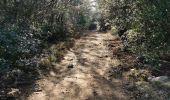 Tocht Noords wandelen Labastide-de-Virac - Chapelle St Romain la Bastide de Virac - Photo 2