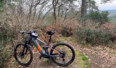 Trail Mountain bike Gujan-Mestras - Truc de là Truc  - Photo 2