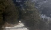Trail Walking Briançon - briancon - Photo 7