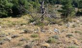 Trail Walking Saint-Vallier-de-Thiey - Col de la faye / col du ferie  - Photo 1