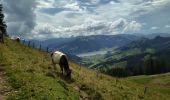 Randonnée A pied Einsiedeln - Geissweidli - Egg - Photo 2