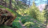 Trail Walking Crévoux - mon.parcours des fées : cascade de razis via le torrent / retour via le canal du meal - Photo 17