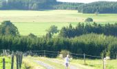 Trail Walking Vielsalm - GrWandArdNat18:Hebronval:vroegere leisteengroeves (PVDB) - Photo 2