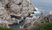 Tour Wandern Marseille - iles du Frioul - Photo 17
