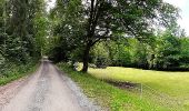 Tocht Te voet Lorch - Alfdorfer Wanderweg Nr. 4 Bemberlesstein - Photo 1