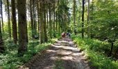 Trail Walking Florennes - 2019-06-15 Rosée 30 km - Photo 16