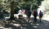 Trail On foot Bagnères-de-Bigorre - ARTIGUES à  PAYOLLE g4 fait 