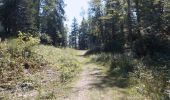 Randonnée Marche Autrans-Méaudre en Vercors - Autrans - Gève - Bec de l'Orient - La Buffe - Photo 16