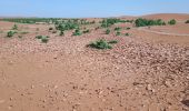 Tour Wandern M'Hamid El Ghizlane ⵎⵃⴰⵎⵉⴷ ⵍⵖⵯⵣⵍⴰⵏ امحاميد الغزلان - Campement 3 au Campement 4 - Photo 7