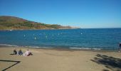 Excursión Senderismo Banyuls-sur-Mer - Banyuls-sur-Mer (04/10/2018) - Photo 10