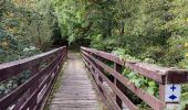 Trail Walking Martelange - Promenade des souvenirs en passant par la passerelle des oiseaux  - Photo 4