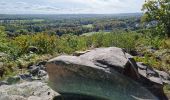 Excursión Senderismo Chamarande - Forêt Départementale du Belvédère à Chamarande - Photo 12