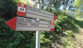 Percorso A piedi Sant'Omobono Terme - Sentiero 574: Valsecca - Pertüs - Photo 4