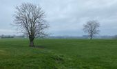 Tour Wandern Frasnes-lez-Anvaing - Oeudeghien 9,2 km - Photo 8