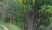 Randonnée Marche Jausiers - CASCADE DU PISSOUN ET VALLON DES TERRES PLAINES - Photo 4