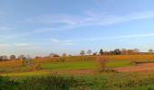 Trail Walking Sprimont - sprimont . bois de warnoumont . autoroute . train de damré - Photo 1