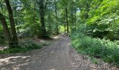 Trail Walking Péruwelz - Bonsecours 16 km - Photo 1