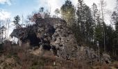 Tour Zu Fuß Gemeinde Hollenstein an der Ybbs - AT-3 - Photo 2