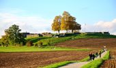 Trail On foot Seegräben - Seegräben - Pfäffikon - Photo 8