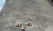 Trail Walking Les Matelles - Les Matelles variante  - Photo 5