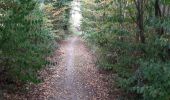 Tour Wandern Andenne - Geron(Andenne) -   Surlemez(Couthuin) circuit - Photo 2