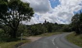 Tocht Stappen Yzeron - Izeron - Des cascades à la Madonne - Photo 12