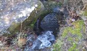 Tocht Stappen Vernon -  Tétines de  Vernon -Cascade de Baumicou 16km. - Photo 12