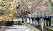 Excursión A pie Houffalize - La promenade autour du Lac de Nisramont - Photo 12