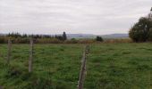 Tour Wandern Tenneville - Boucle agricole - Le circuit de la ferme des Frênes  - Photo 6