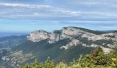 Excursión Senderismo La Chapelle-en-Vercors - Belvédère de Remoulat  - Photo 5