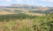 Trail Walking Besse-et-Saint-Anastaise - Le tour du Lac Pavin et montée au Puy Montchal - Photo 19