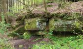 Tocht Stappen Lemberg - Lemberg - cascade des Ondines - sentiers des grottes et des étangs - Photo 9