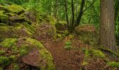 Tocht Te voet Eberbach - Rundwanderweg Neckarbrücke 3: Stolzeneck-Weg - Photo 5