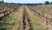 Percorso Marcia Villespassans - Assignan : garrigue et causses  - Photo 7