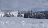 Randonnée Raquettes à neige La Pesse - La Pesse Embossieux /Le Lac de l'Embouteilleux  - Photo 7