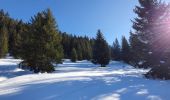 Trail Snowshoes Verchaix - Plateau de Loex - Photo 1