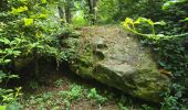 Randonnée Marche Nogent-le-Bernard - Nogent-le-Bernard - Menhir de Courtevrais - Photo 14