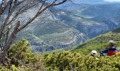 Randonnée Marche Aiguines - Grand Marges Gorges Verdon réel - Photo 16