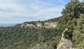 Excursión  Saint-Restitut - St Restitut, Chabrieres, le Barry - Photo 9