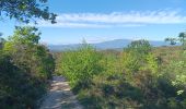 Trail Walking Le Beaucet - Le beaucet - St gens - le beaucet village et château  - Photo 15