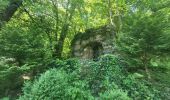 Tocht Stappen Bouillon - rando botassart 24-05-2023 - Photo 11