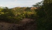 Trail Walking Terre-de-Haut - Les Saintes - J1 - Photo 14