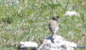 Excursión Senderismo Châtillon-en-Diois - Combau-TêteChevalière 05-05-2018 - Photo 16