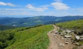 Excursión Senderismo Xonrupt-Longemer - 2024 RA Vosges J4 autour du Kastelberg - Photo 9