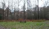 Trail Walking Oissel - 20231128-les essarts cool - Photo 7