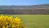 Tocht Stappen Soultz-sous-Forêts - Le sentier des cimes depuis Soultz - Photo 16